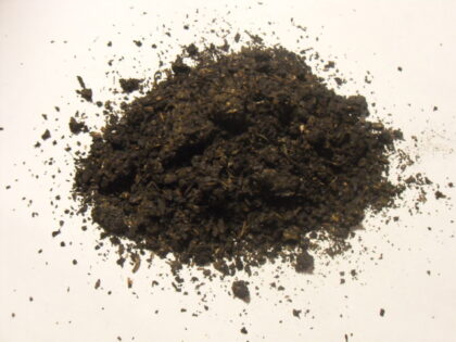 Canavalia Maritima (Baybean) 10X Resin Extract