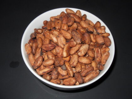 Theobroma Cacao (Chocolate) Dried Cocoa Beans
