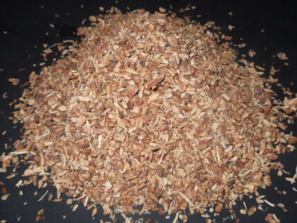Salvia Miltiorrhiza (Red Sage / Dan Shen)