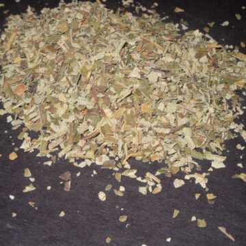 Eriodictyon Californicum (Yerba Santa) Wildharvested Leaf